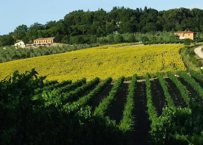 Bio Il TorrioneAgriturismo